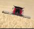 कंबाइन हार्वेस्टर Case IH Axial Flow 7250