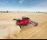 कंबाइन हार्वेस्टर Case IH Axial Flow 7250