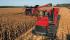 कंबाइन हार्वेस्टर Case IH Axial Flow 8120