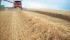 कंबाइन हार्वेस्टर Case IH Axial Flow 8120