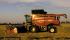 कंबाइन हार्वेस्टर Case IH Axial Flow 8120