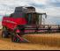 कंबाइन हार्वेस्टर Massey Ferguson Beta 7370 PL