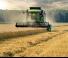 कंबाइन हार्वेस्टर DEUTZ-FAHR C 6205 Topline