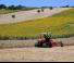कंबाइन हार्वेस्टर DEUTZ-FAHR C 7205 Farmline