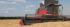 कंबाइन हार्वेस्टर Massey Ferguson Centora 7382