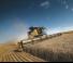 कंबाइन हार्वेस्टर New Holland CR8.90 SCR+DFR