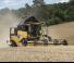 कंबाइन हार्वेस्टर New Holland CX5.90 Laterale