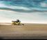 कंबाइन हार्वेस्टर New Holland CX6.80