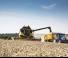कंबाइन हार्वेस्टर New Holland CX6.80