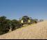 कंबाइन हार्वेस्टर New Holland CX6.90 Laterale 