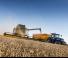 कंबाइन हार्वेस्टर New Holland CX8.70 