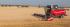 कंबाइन हार्वेस्टर Massey Ferguson Delta 9380