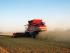 कंबाइन हार्वेस्टर Massey Ferguson Fortia 9695