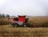 कंबाइन हार्वेस्टर Massey Ferguson Fortia 9695