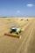 कंबाइन हार्वेस्टर Claas Lexion 670