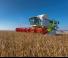 कंबाइन हार्वेस्टर Claas Lexion 750 Montana