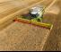 कंबाइन हार्वेस्टर Claas Lexion 760 TerraTrac