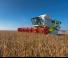 कंबाइन हार्वेस्टर Claas Lexion 770