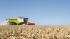 कंबाइन हार्वेस्टर Claas Lexion 770 TerraTrac