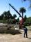 हाइड्रोलिक लोडिंग क्रेन Amco Veba 815 T 4 S