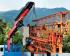 हाइड्रोलिक लोडिंग क्रेन Fassi F 295 A 2.24 e-dynamic