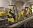 मिनी एक्सकेवेटर Wacker Neuson 803