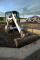 मिनी एक्सकेवेटर Bobcat E 16