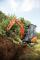 मिनी एक्सकेवेटर Hitachi ZX 18-3