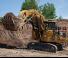 क्रॉलर एक्सकेवेटर Caterpillar 6040F S