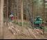 फॉरेस्ट मशीनरी हार्वेस्टर Neuson Forest 104HV