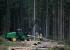 फॉरेस्ट मशीनरी हार्वेस्टर John Deere 1270 E IT4