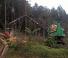 फॉरेस्ट मशीनरी हार्वेस्टर Neuson Forest 183HVT