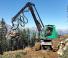 फॉरेस्ट मशीनरी हार्वेस्टर Neuson Forest 243HV