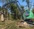 फॉरेस्ट मशीनरी हार्वेस्टर Neuson Forest 243HV