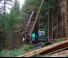 फॉरेस्ट मशीनरी हार्वेस्टर Neuson Forest 243HVT