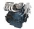 इंजन Kubota WG1605-GL-E3
