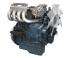 इंजन Kubota WG1605-GLN-E3