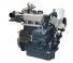 इंजन Kubota WG972-G-E4
