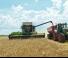 कंबाइन हार्वेस्टर Fendt 5255 L MCS Rice