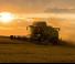 कंबाइन हार्वेस्टर Fendt 6275 L MCS Rice