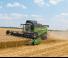 कंबाइन हार्वेस्टर Fendt 6335 C Rice