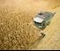 कंबाइन हार्वेस्टर Fendt 6335 C Rice