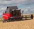 कंबाइन हार्वेस्टर Massey Ferguson Activa 7345S