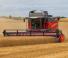 कंबाइन हार्वेस्टर Massey Ferguson Beta 7360 PLI