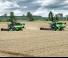 कंबाइन हार्वेस्टर DEUTZ-FAHR C 6205 TS Farmline