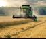 कंबाइन हार्वेस्टर DEUTZ-FAHR C 6205 TS Topline