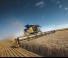 कंबाइन हार्वेस्टर New Holland CR8.90 ST5