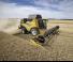 कंबाइन हार्वेस्टर New Holland CX7.80   