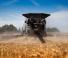 कंबाइन हार्वेस्टर Massey Ferguson Ideal 7