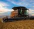 कंबाइन हार्वेस्टर Massey Ferguson Ideal 8